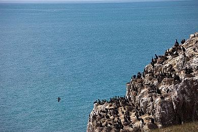 复古平台跳跃游戏《Fallen Leaf》收获特别好评评价