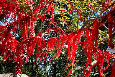 发售一年之后 《生化危机4：重制版》销量突破700万